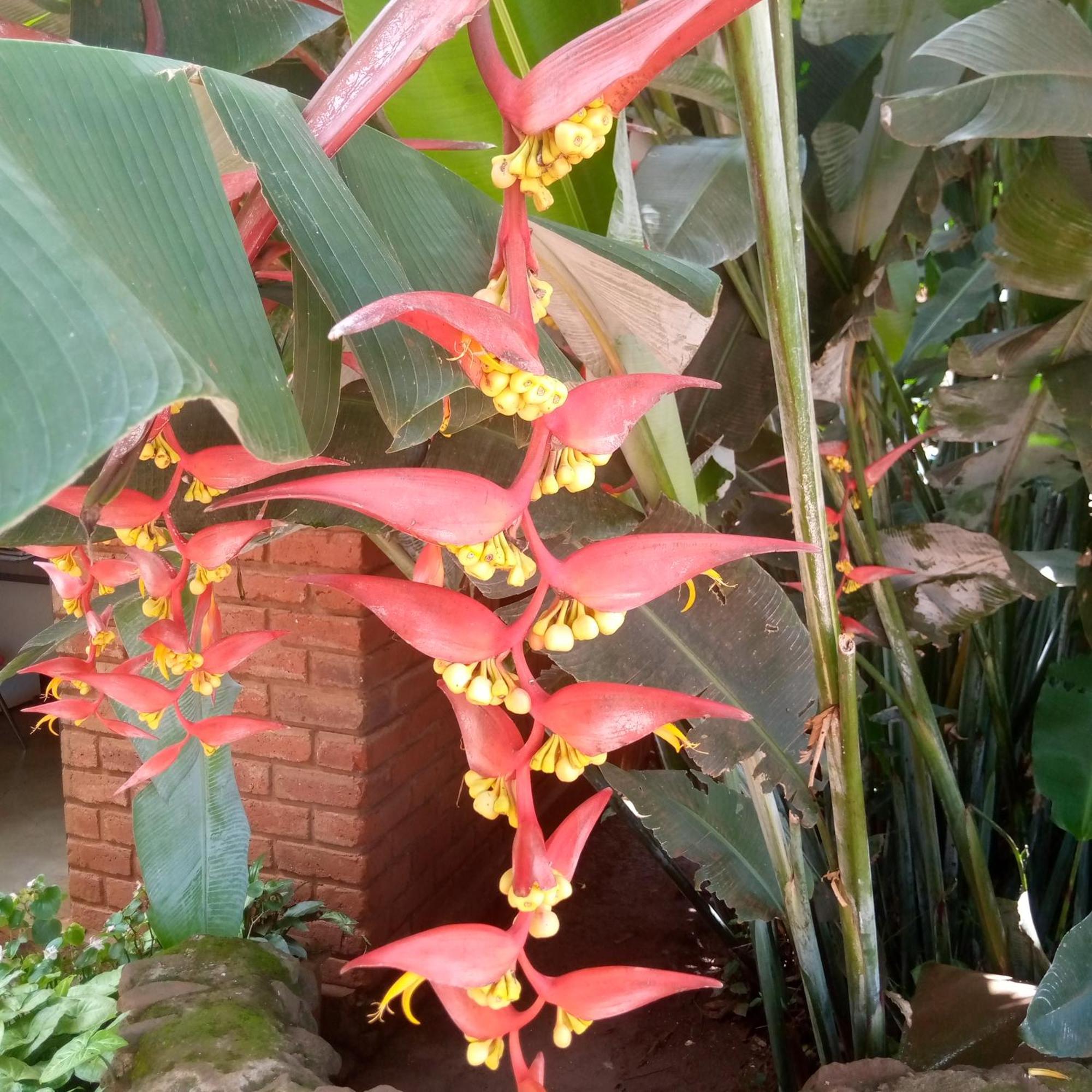 Ngorongoro Camp And Lodge 카라투 외부 사진